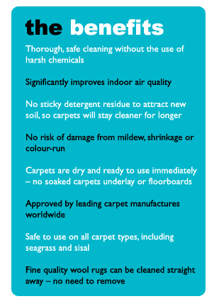 carpet cleaning benefits